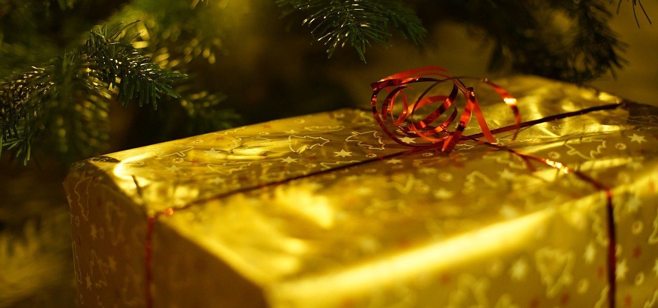 cadeau de noel pour tous, le livre plait à toute la famille
