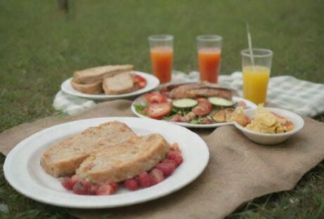 assiettes jetables compostables